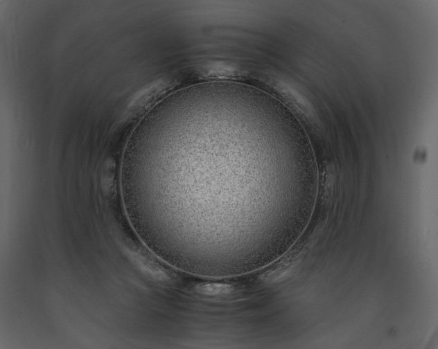 X0000091520361200708241654