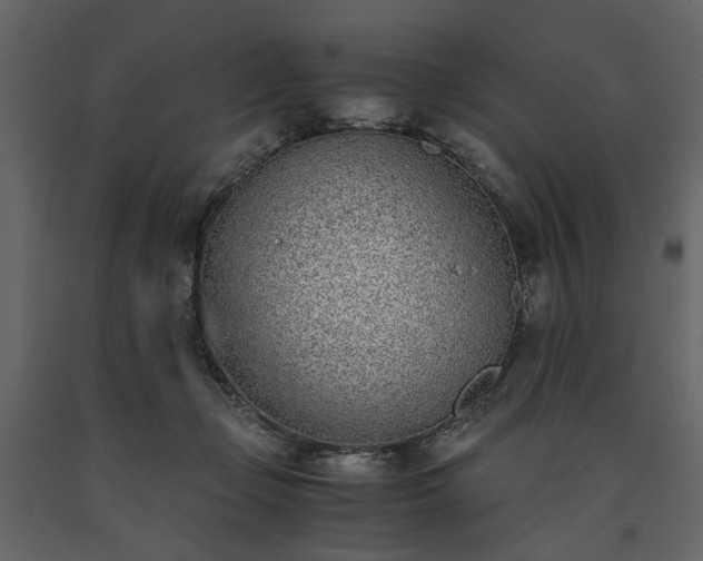 X0000091520365200708241654