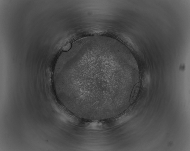 X0000091520366200708241654
