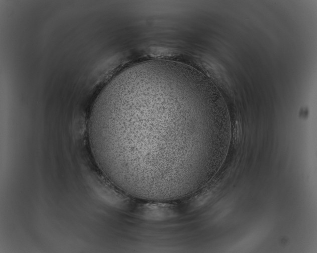 X0000091520367200708241654