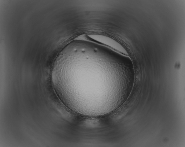 X0000091520369200708241654