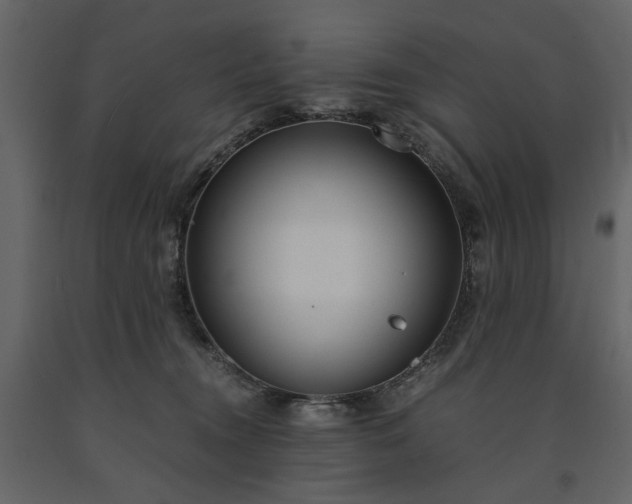 X0000091520372200708241655