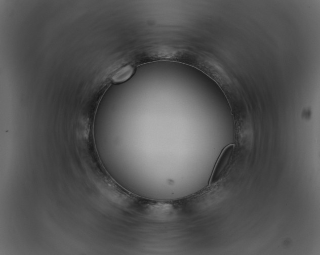X0000091520374200708241655