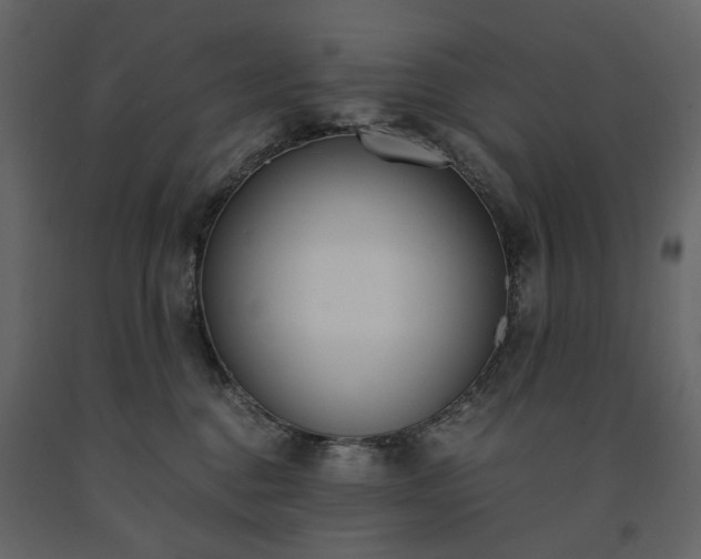 X0000091520376200708241655