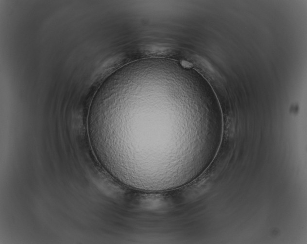 X0000091520377200708241655