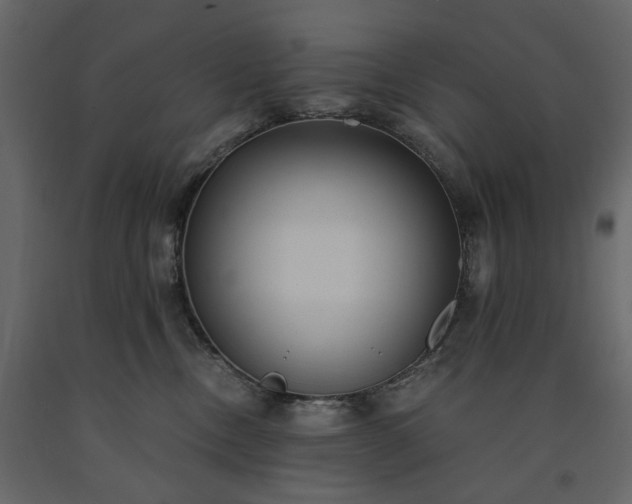 X0000091520378200708241655