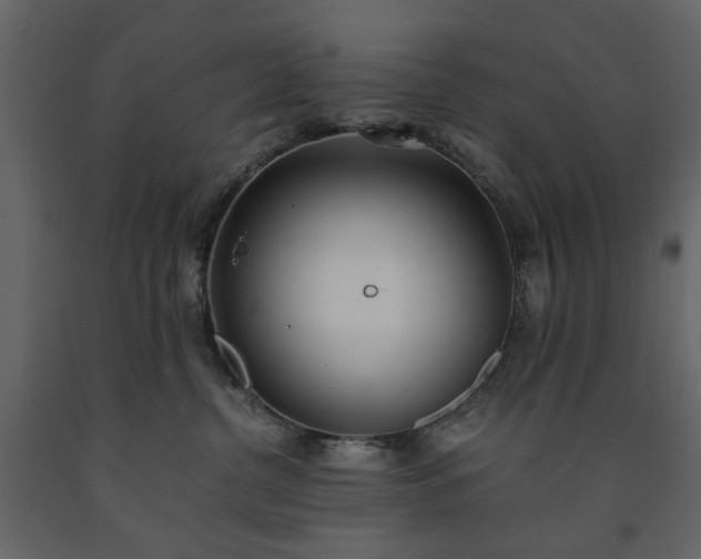 X0000091520380200708241655