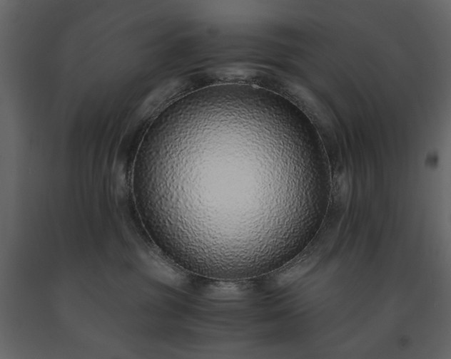 X0000091520381200708241655