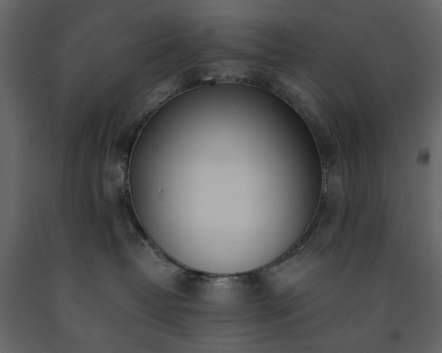 X0000091520382200708241655