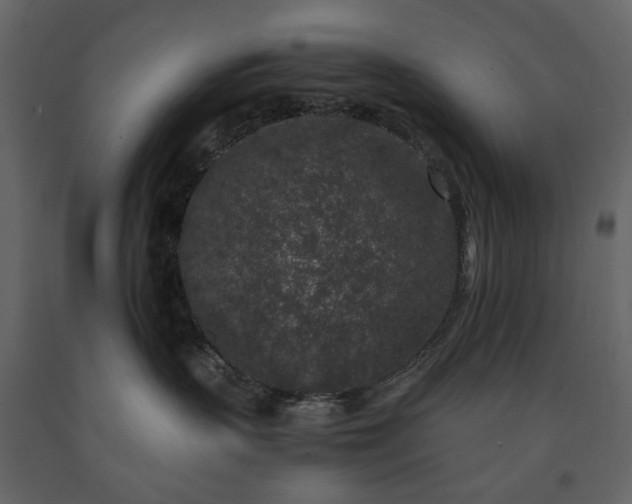 X0000091520383200708241655