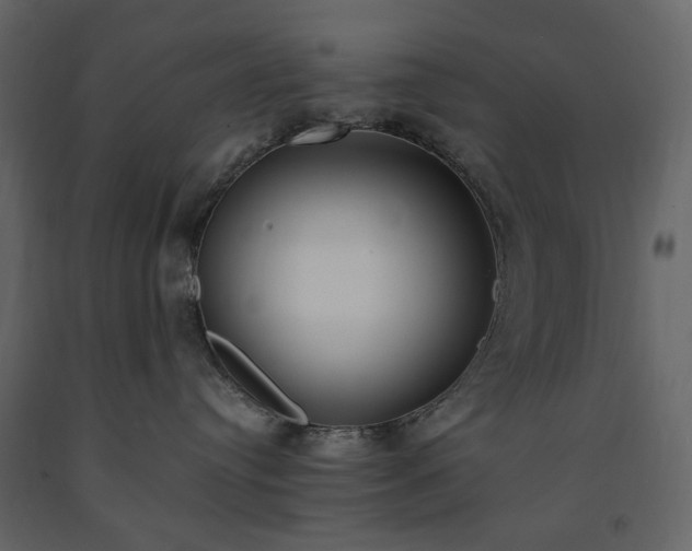 X0000091520384200708241655