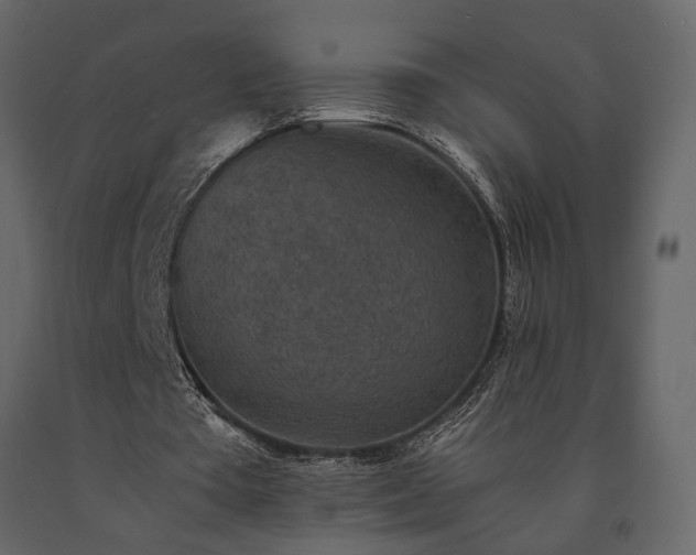 X0000091520385200708241654