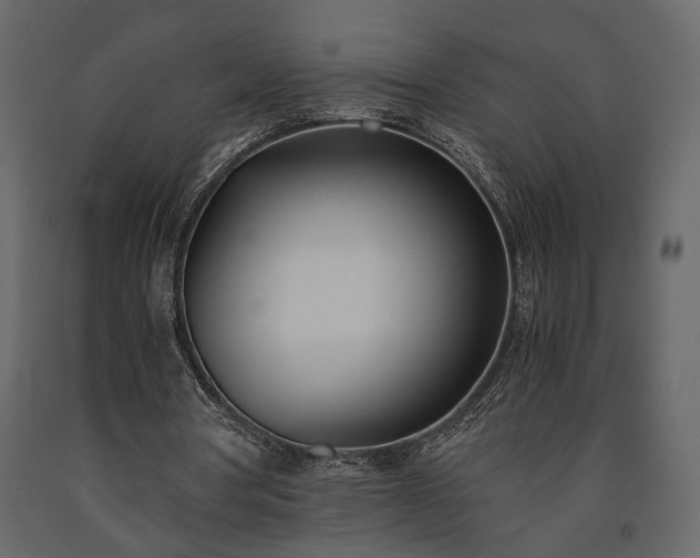 X0000091520386200708241654