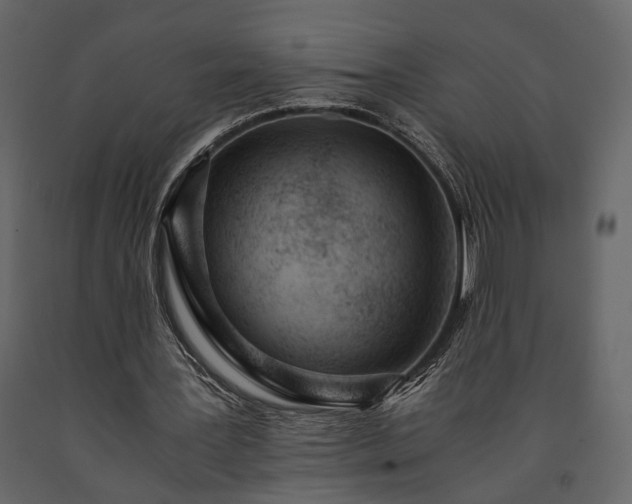 X0000091520387200708241654