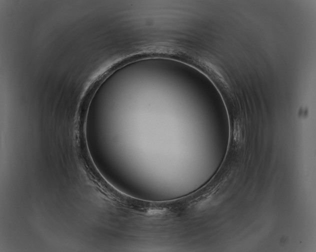X0000091520388200708241654