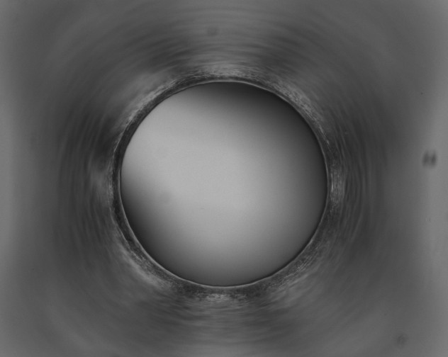X0000091520390200708241654