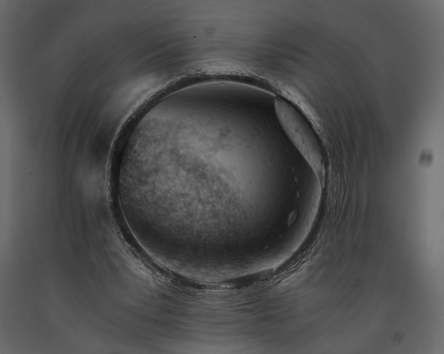 X0000091520391200708241654
