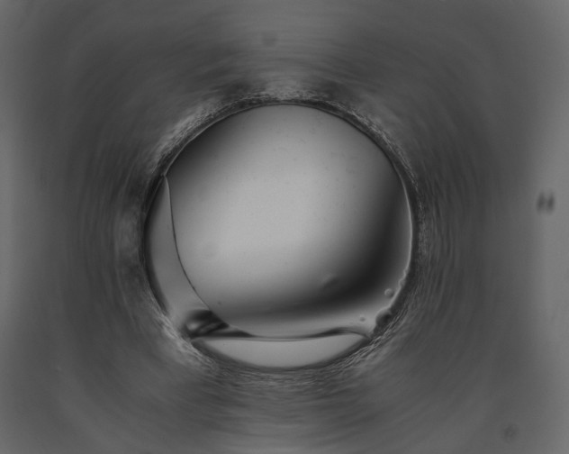 X0000091520393200708241654