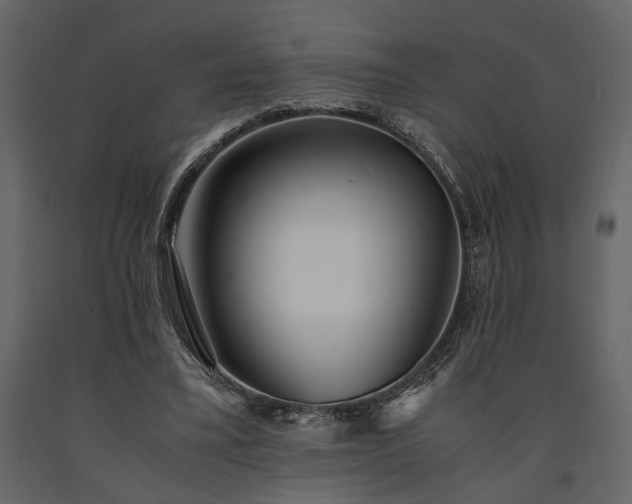 X0000091520395200708241654
