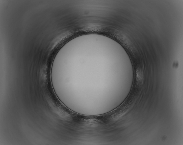 X0000091520396200708241654