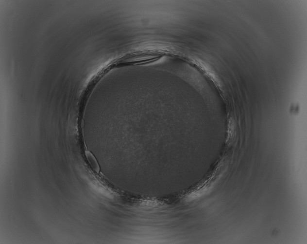 X0000091520399200708241654