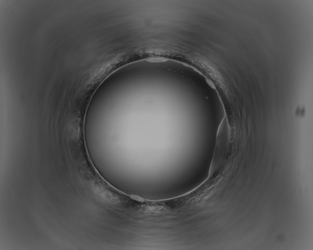 X0000091520401200708241654
