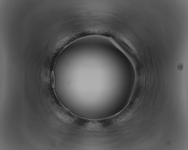X0000091520403200708241654