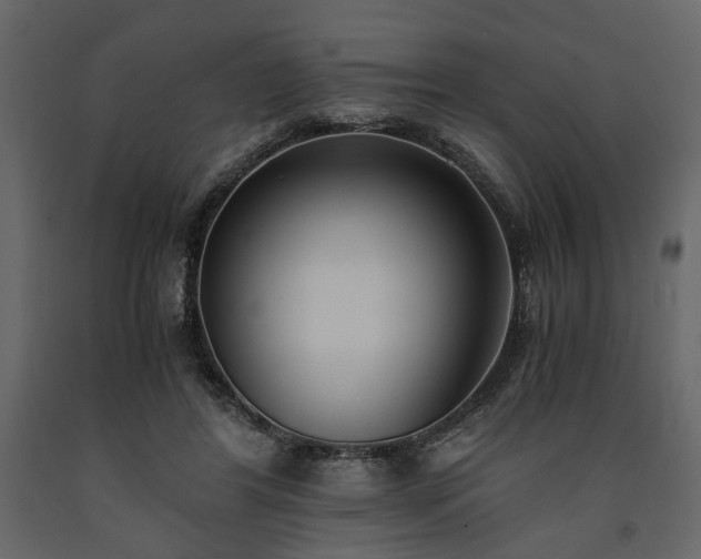 X0000091520404200708241654