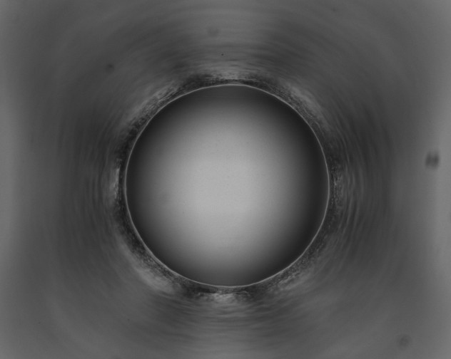 X0000091520406200708241654