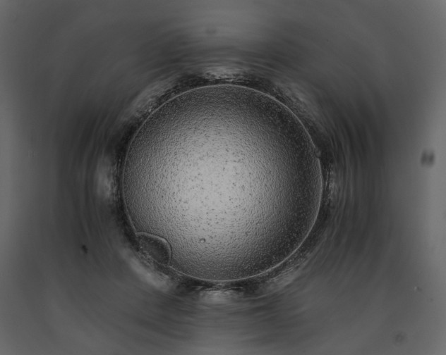 X0000091520408200708241654