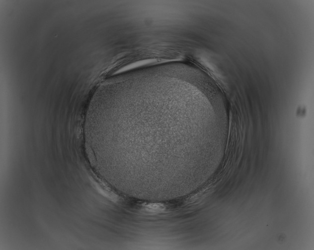 X0000091520409200708241654