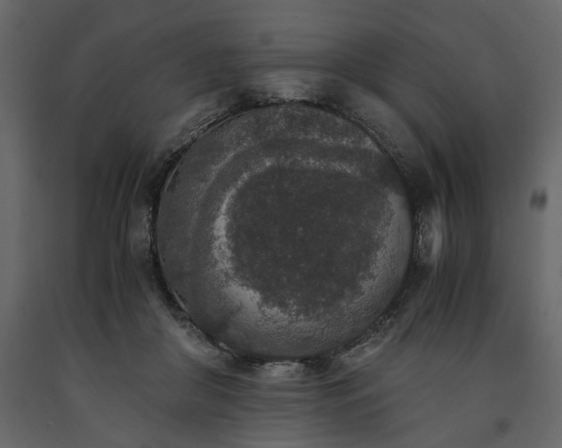 X0000091520410200708241654