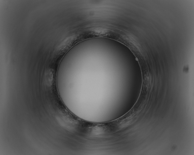 X0000091520412200708241654