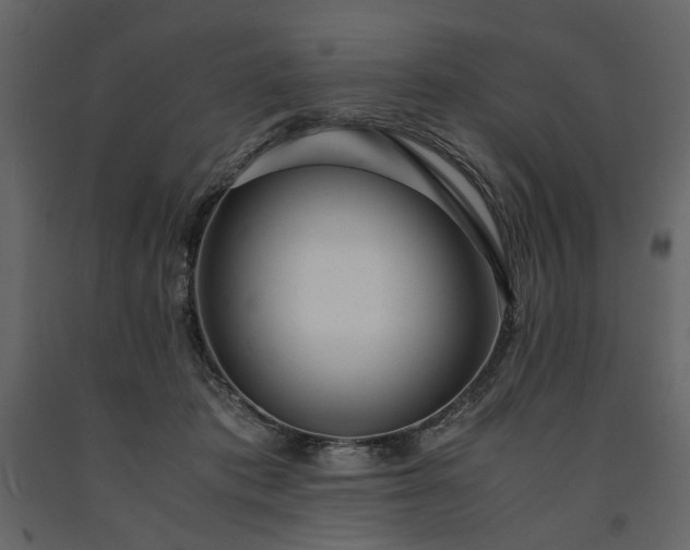 X0000091520413200708241654