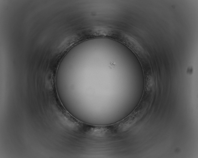 X0000091520414200708241654