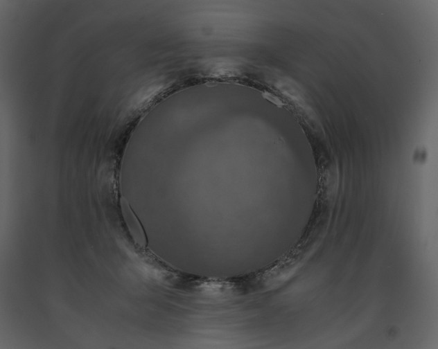 X0000091520415200708241654