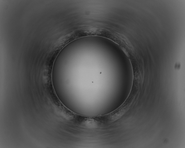 X0000091520416200708241654