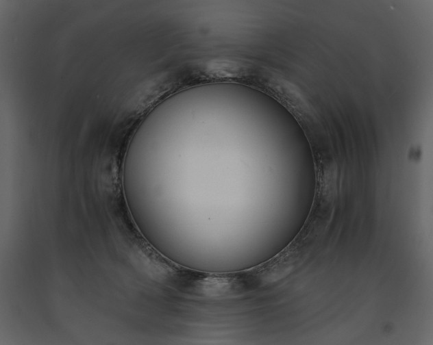 X0000091520418200708241654