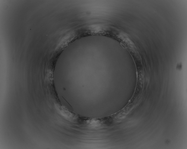 X0000091520419200708241654
