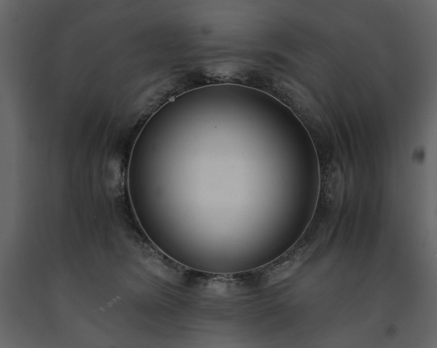 X0000091520420200708241654