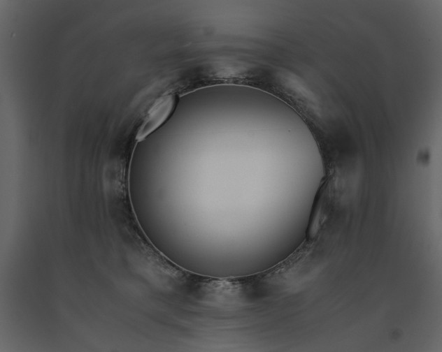 X0000091520421200708241654