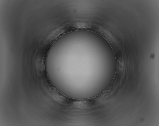 X0000091520422200708241654