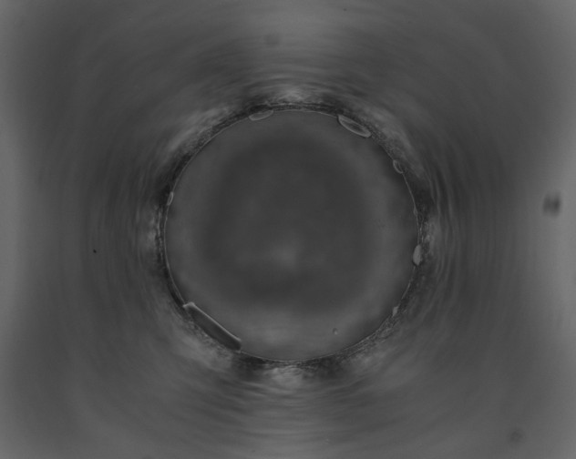 X0000091520423200708241654