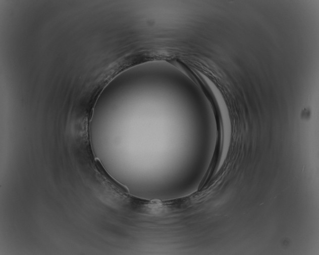 X0000091520425200708241654