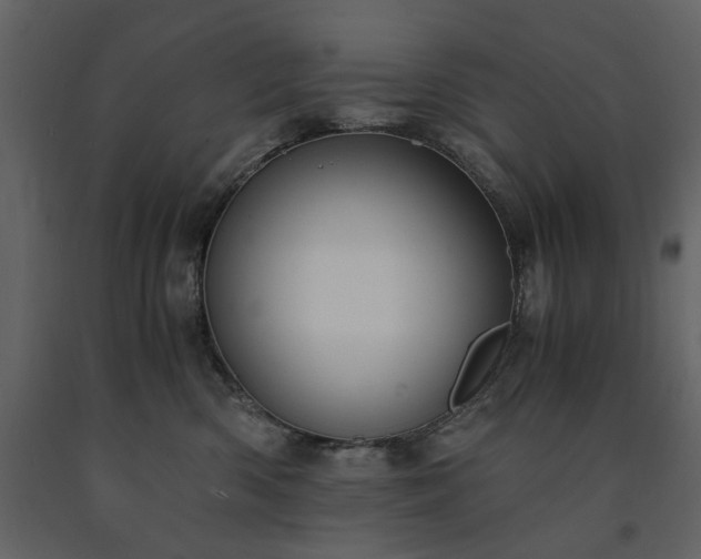 X0000091520426200708241654