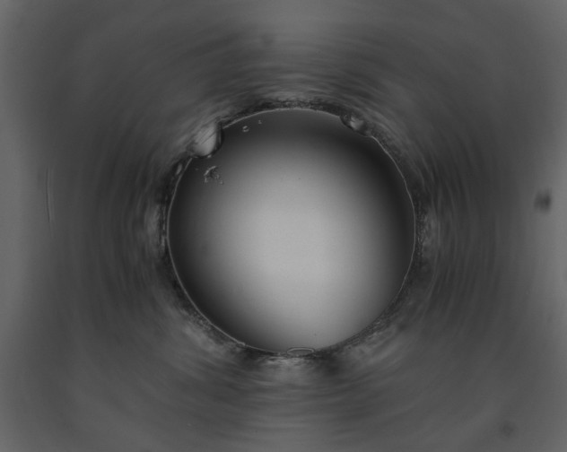 X0000091520428200708241654