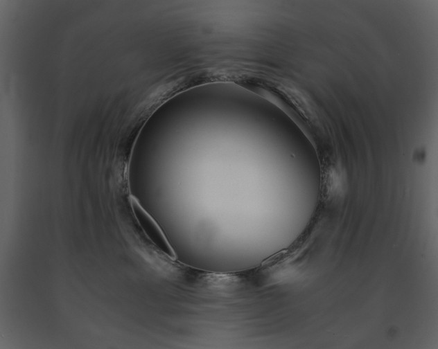X0000091520429200708241654