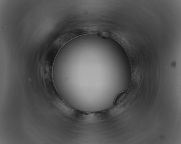 X0000091520430200708241654