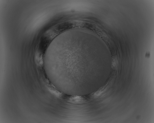 X0000091520431200708241654