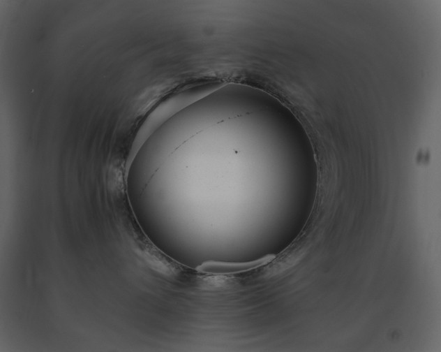 X0000091520432200708241653